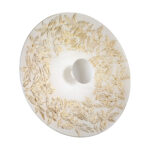 Wandleuchte LUNA, Weiß, Liberta Weiß/Gold